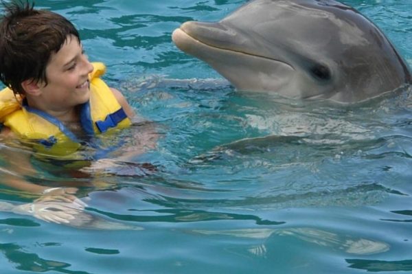 CATAMARÁN Y DELFINES A CAYO BLANCO DESDE VARADERO - Imagen 4
