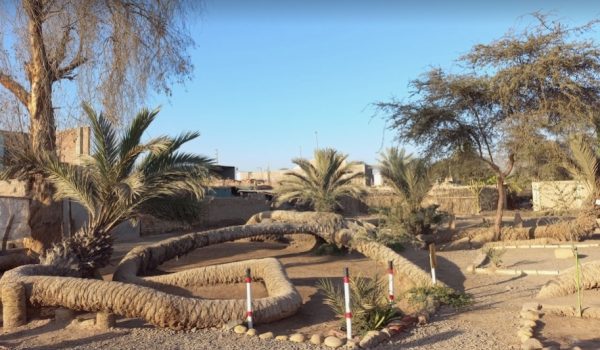 Excursión turística Ica con paseo en Buggy y Sandboard