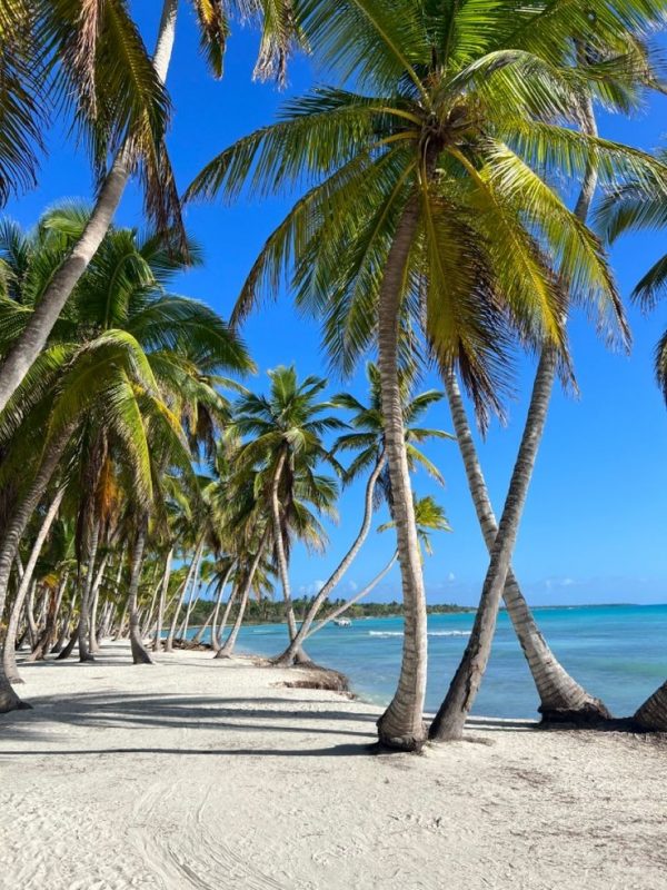 Unas vacaciones especiales en Bayahibe - Imagen 3