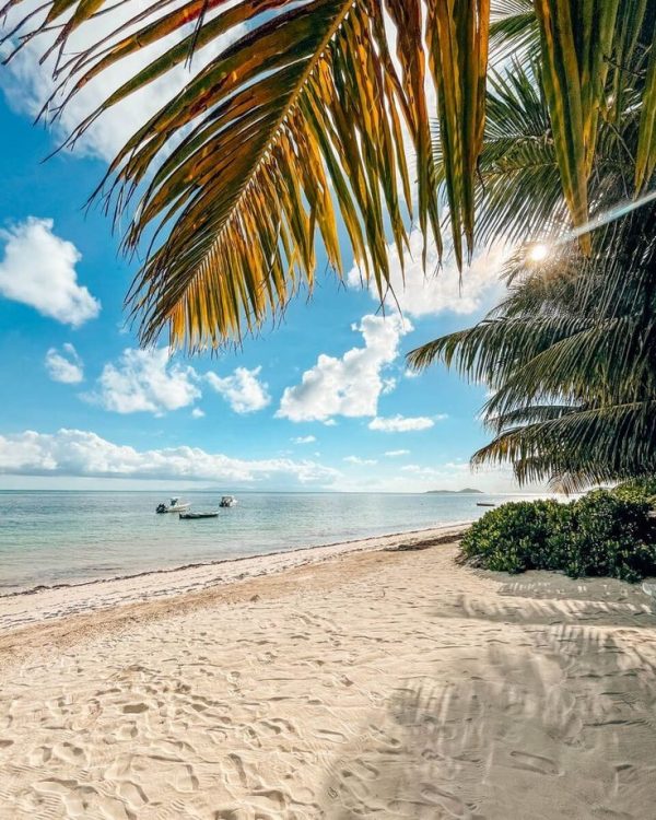 CRUCERO POR LAS ISLAS SEYCHELLES - Imagen 4