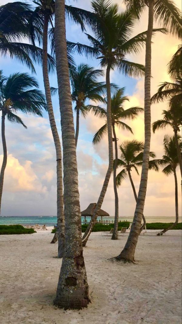 Paquete vacacional Hotel Vik Arena Blanca Punta Cana