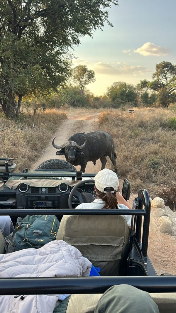 SAFARI.JOYAS DE SUDAFRICA Y MALDIVAS 2025 - Imagen 2