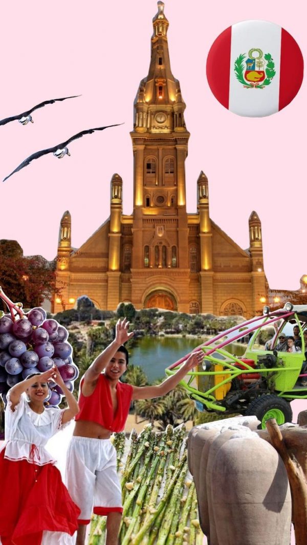 Excursión por la ciudad de  ICA