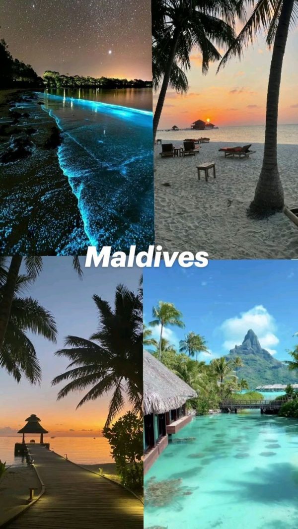 SAFARI.JOYAS DE SUDAFRICA Y MALDIVAS 2025 - Imagen 4