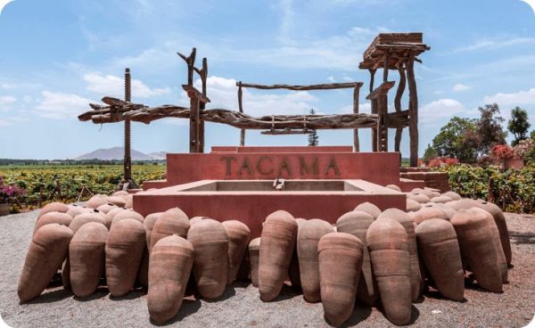 Excursión por la ciudad de  ICA - Imagen 6