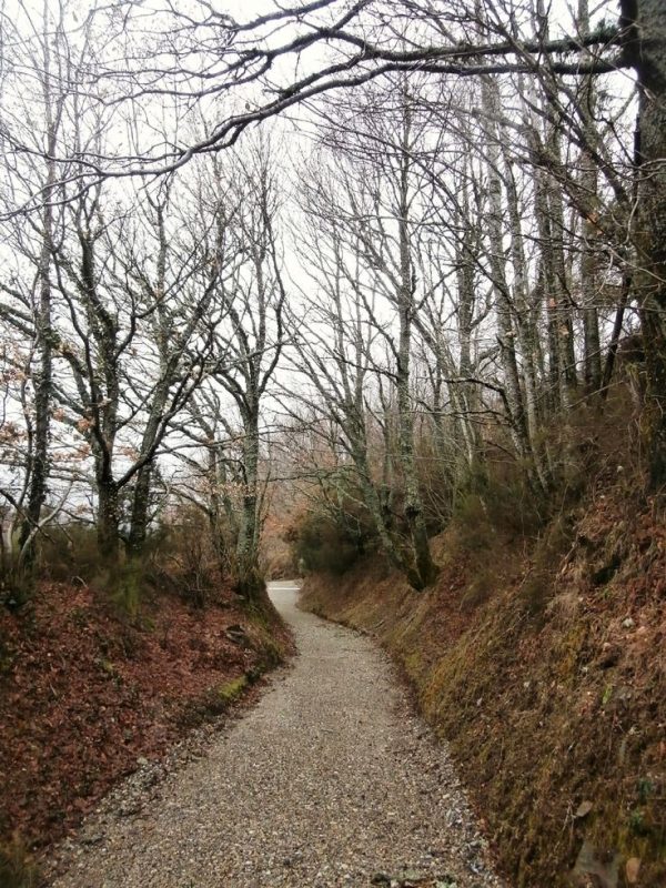 Camino de la Estrella Galicia - Imagen 4